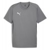 Puma TeamGOAL Jersey Cast Iron-Puma White-Shaow Grey