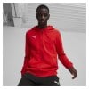 Puma TeamGOAL Casuals Hooded Jacket