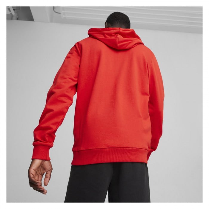 Puma TeamGOAL Casuals Hooded Jacket