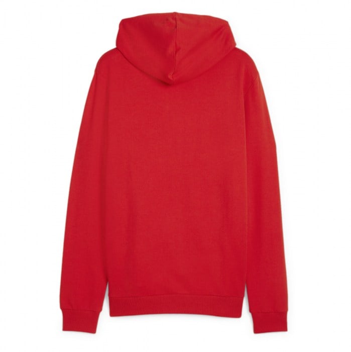Puma TeamGOAL Casuals Hooded Jacket