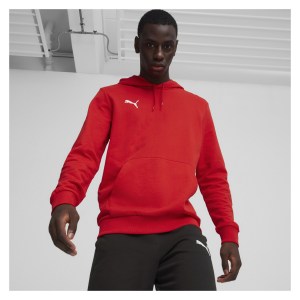 Puma TeamGOAL Casuals Hoody