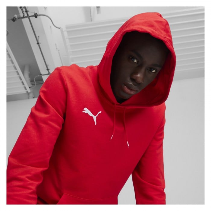 Puma TeamGOAL Casuals Hoody