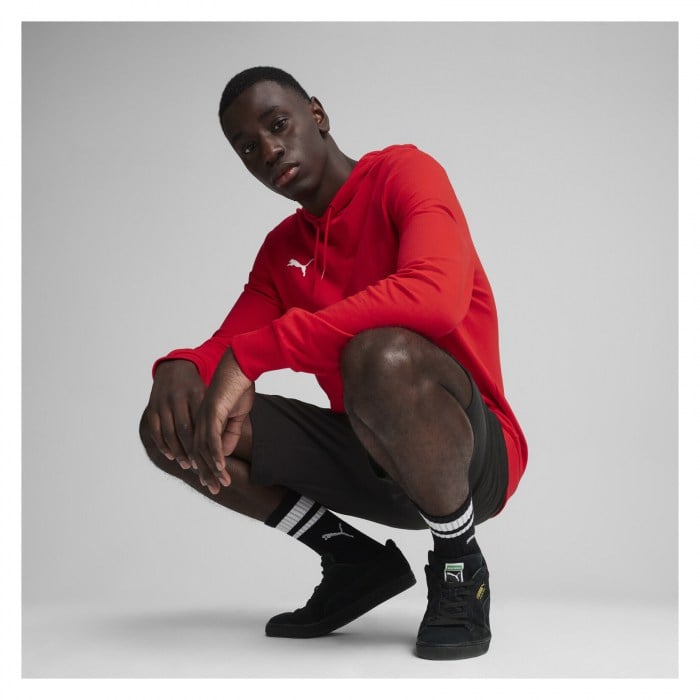 Puma TeamGOAL Casuals Hoody