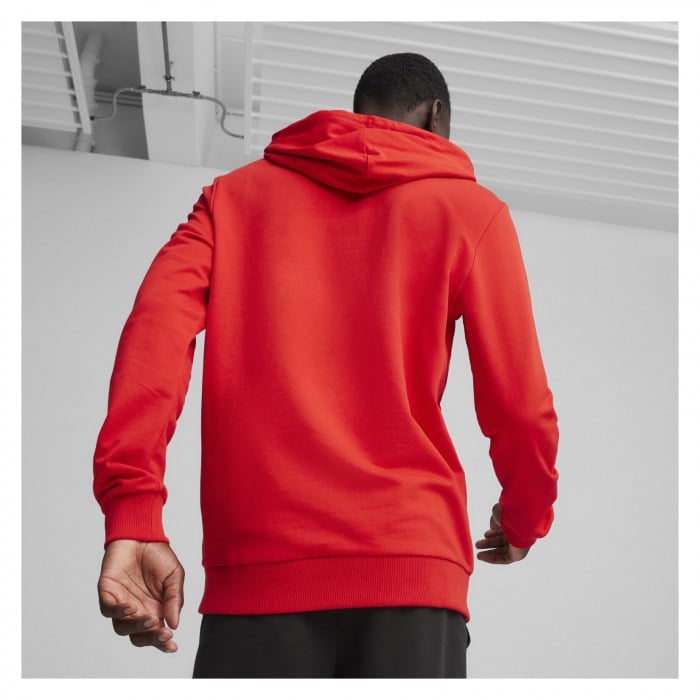 Puma TeamGOAL Casuals Hoody