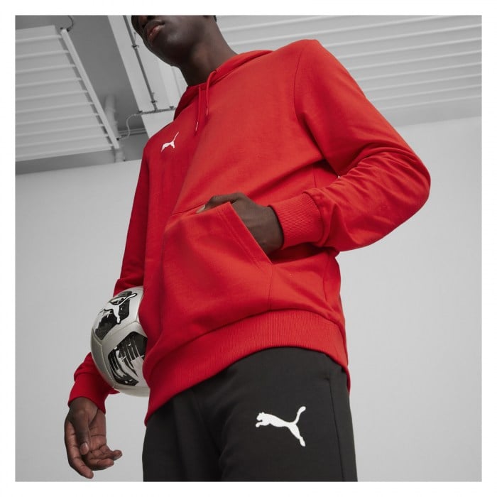 Puma TeamGOAL Casuals Hoody