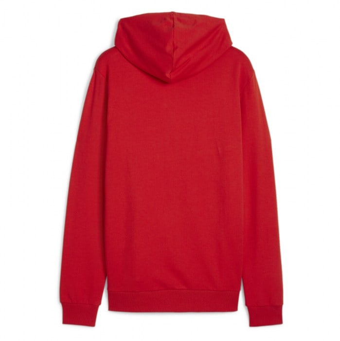 Puma TeamGOAL Casuals Hoody