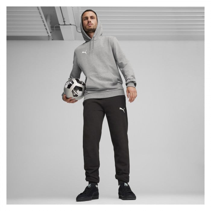 Puma TeamGOAL Casuals Pants