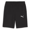 Puma TeamGOAL Casuals Shorts