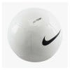 Nike Pitch Team FA24