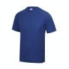 Cool Performance Tee Royal