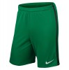 Nike League Knit Short Lucid Green-Grove Green-White-1-41884-4616
