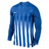 Nike Striped Division II Long Sleeve Football Shirt Royal Blue-White-White-1-41246-4564