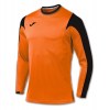 801-ORANGE-BLACK-CAT(1)-POS(0)-RAND(finfh)