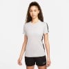 Nike Womens Academy 23 Short Sleeve Training Top (W) Wolf Grey-Black-White
