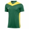 Nike Park Derby IV Dri-FIT Short Sleeve Shirt Pine Green-Tour Yellow-White