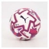 Puma Orbita Cup Premier League Brilliance Football - White/Black