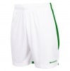 Stanno Focus II Shorts - White/Green
