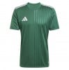 adidas Campeon 25 Jersey - Team Dark Green/White
