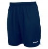 Stanno Focus II Shorts - Navy
