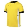 Nike Academy 25 Short-Sleeve Training Top - Tour Yellow/University Gold/Black