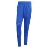 adidas Squadra 25 Training Pants - Team Royal Blue/Team Yellow
