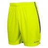 Stanno Focus II Shorts - Yellow/Black