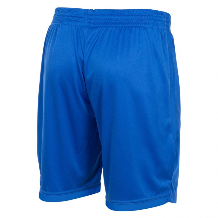 Stanno Focus II Shorts - Blue