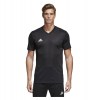 DJV06-BLACK-WHITE-CAT(1)-POS(0)-RAND(dfn4o)