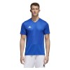 DJV06-BOLD-BLUE-WHITE-CAT(1)-POS(0)-RAND(u9kix)