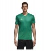 DJV06-BOLD-GREEN-SOLAR-GREEN-CAT(1)-POS(0)-RAND(wuacd)