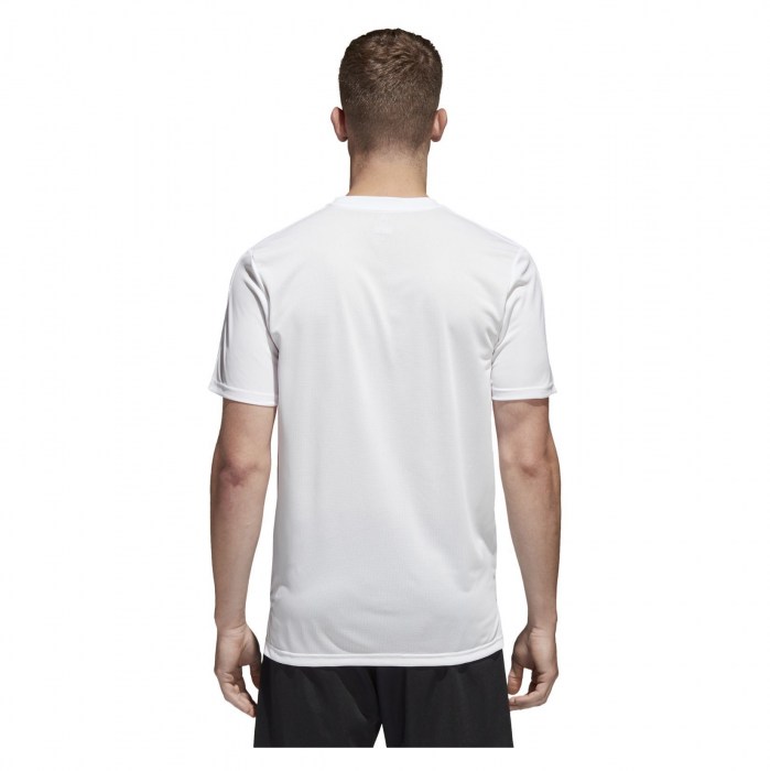 DJV06-WHITE-BLACK-CAT(1)-POS(1)-RAND(j8pgn)
