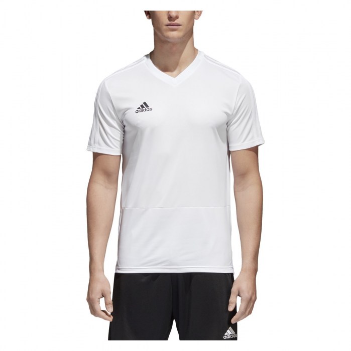 DJV06-WHITE-BLACK-CAT(1)-POS(2)-RAND(j8pgn)