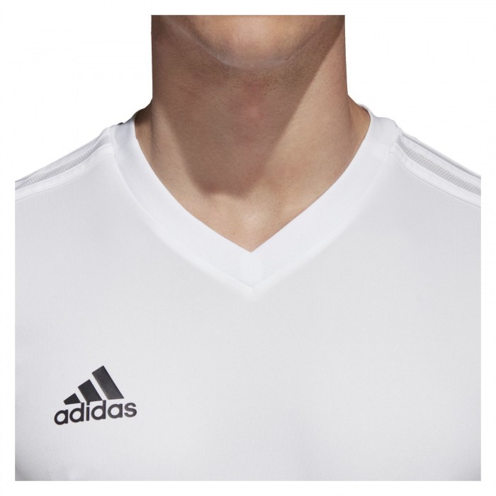 DJV06-WHITE-BLACK-CAT(1)-POS(4)-RAND(j8pgn)
