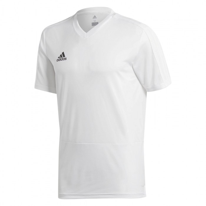DJV06-WHITE-BLACK-CAT(1)-POS(6)-RAND(j8pgn)