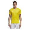 DJV06-YELLOW-WHITE-CAT(1)-POS(0)-RAND(w8zat)