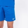 Nike Dri-fit League Knit II Shorts Royal Blue-White-White