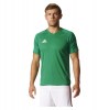 TIRO17TRNJRY-GREEN-BLACK-WHITE-CAT(1)-POS(0)-RAND(6a9nl)