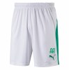 Puma Liga Shorts White-Pepper Green