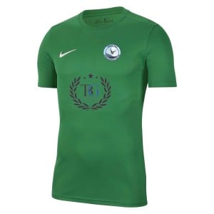 Nike Park VII Dri-FIT Short Sleeve Shirt Pine Green-White