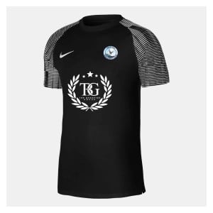 Nike Academy Short Sleeve Jersey
