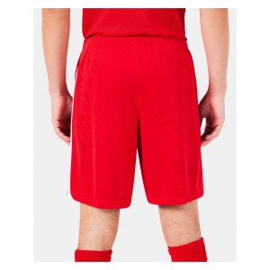 Nike Dri-Fit League Knit III Short