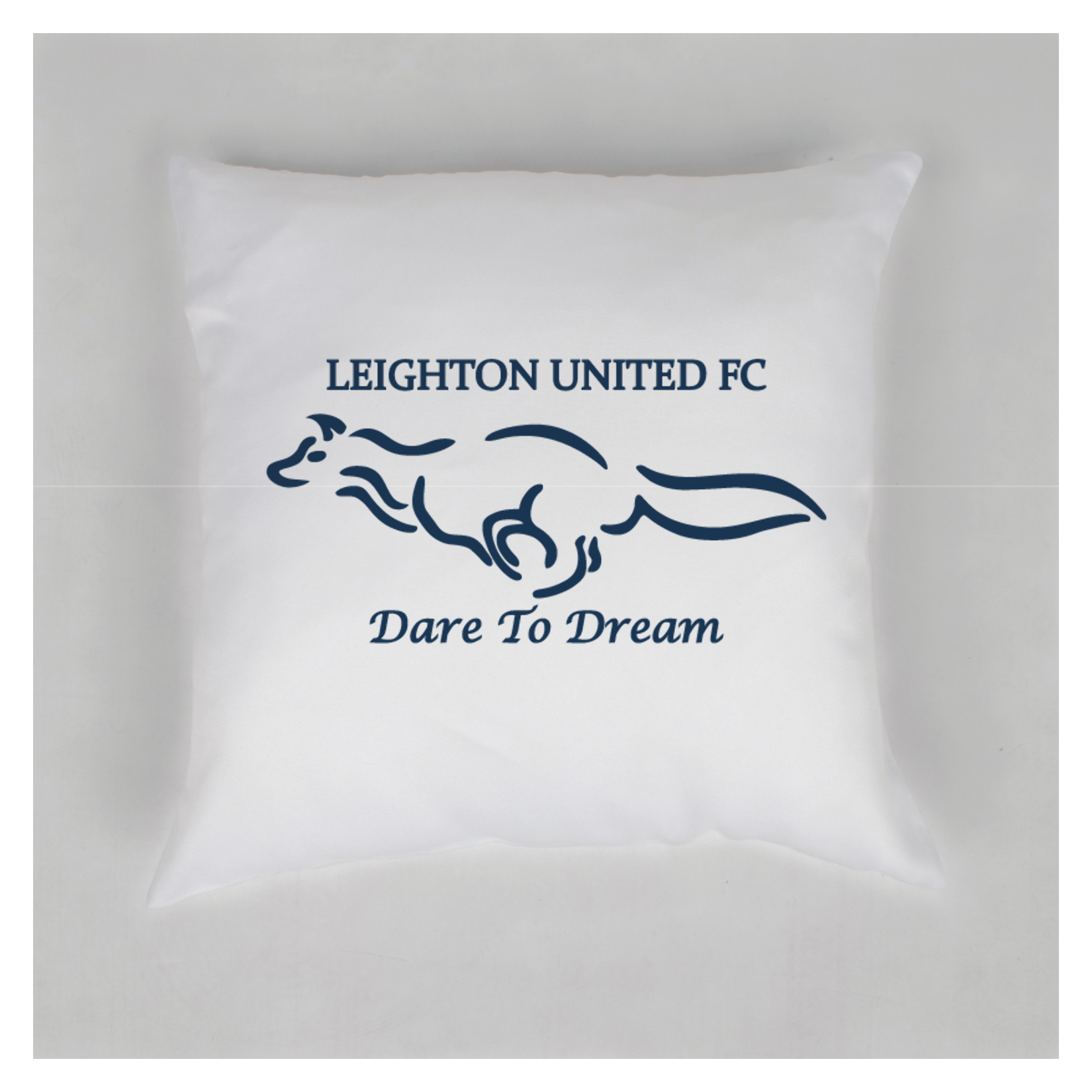 Cushion