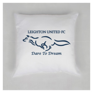 Cushion