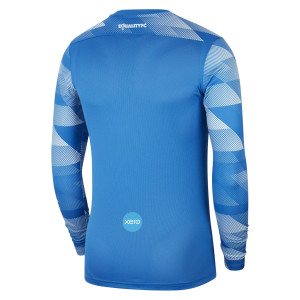 Nike Park IV Goalkeeper Dri-FIT Jersey