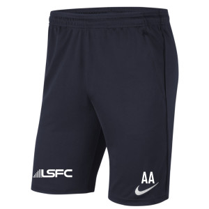 Nike Park 20 Pocketed Shorts (M)