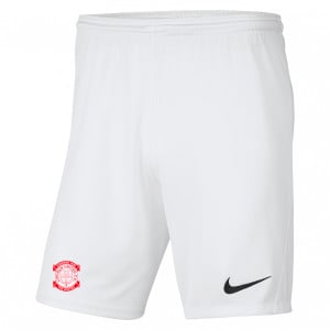 Nike Park III Shorts