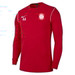 Nike Dri-FIT Park 20 Crew Top