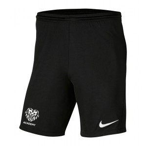 Nike Dri-FIT Park III Shorts