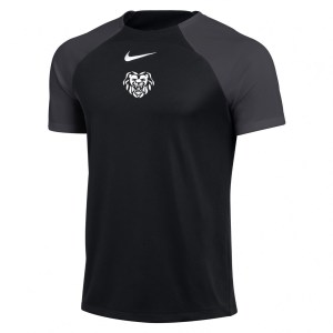 Nike Academy Pro Short Sleeve Tee