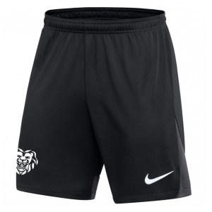 Nike Dri-FIT Academy Pro Shorts